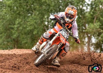 rada tilly 2018 puntomx