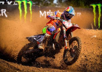 Herlings